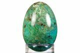 Polished Chrysocolla & Malachite Egg - Mexico #308842-1